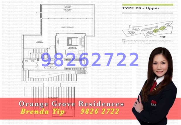 Orange Grove Residences (D10), Condominium #46069402
